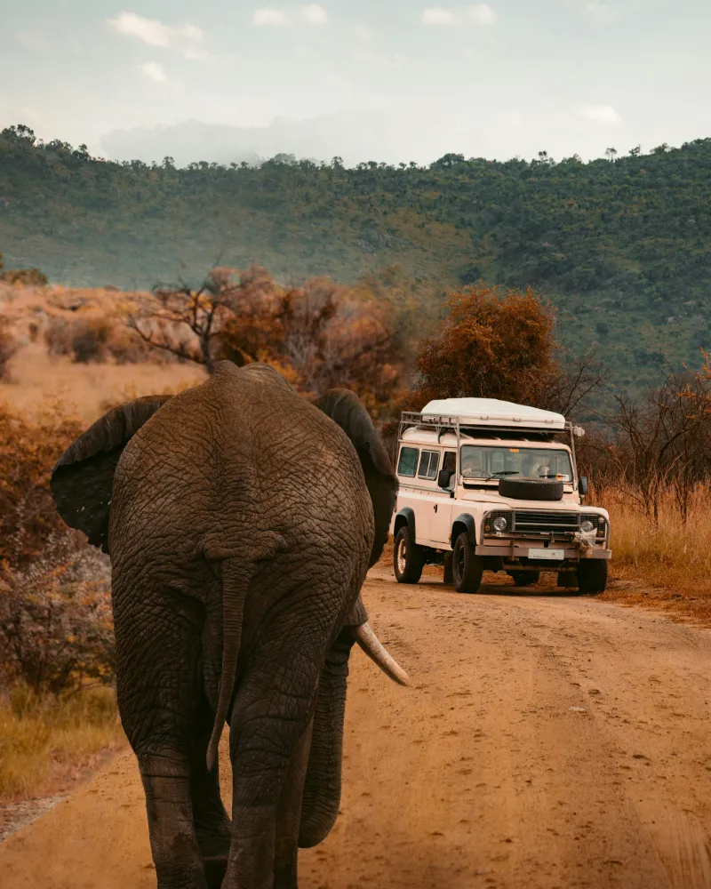 destination image